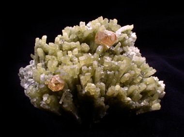 Mineral Specimens - Grossular, Diopside, Jeffrey Mine, Asbestos, Quebec, Canada
