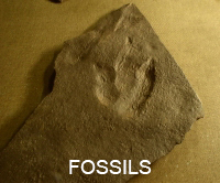 Triassic 'dinosaur' track, Upper Montclair, NJ